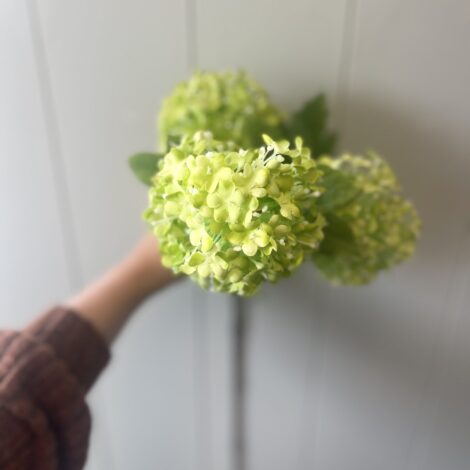 Green Viburnum - $19